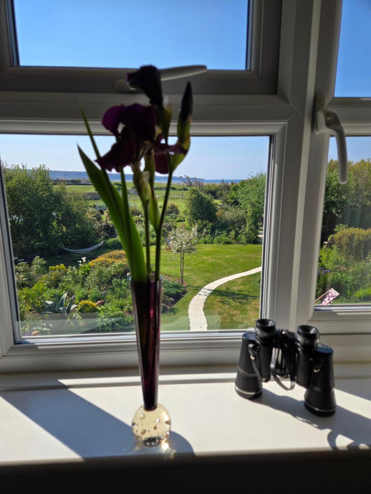 웨이머스만 스왈로우스 리셋 B&B 외부 사진
